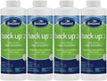 BioGuard Back Up 2-1 Quart, Pack of 4, Proven Effective Algae Preventative, Non-Staining, Keeps Water Clean and Clear