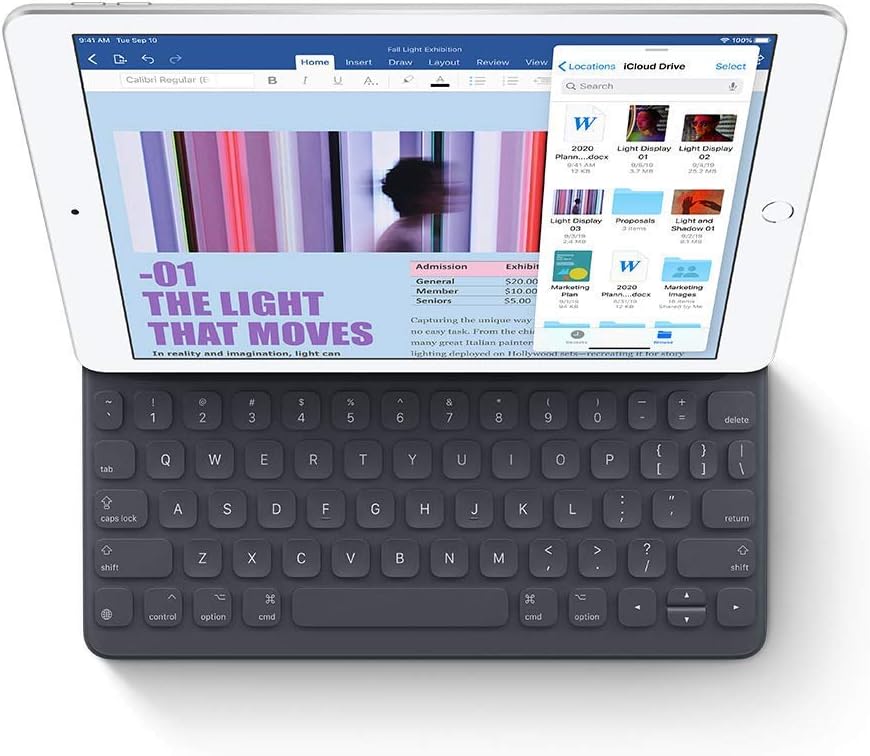 Apple 2019 iPad (10.2-inch, Wi-Fi, 32GB) - Silver (Renewed Premium)