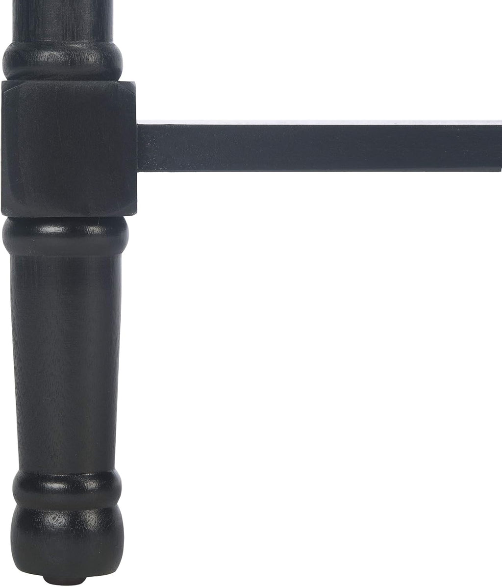 Safavieh Home Collection Allura Black 2-Drawer Bottom Shelf Console Table