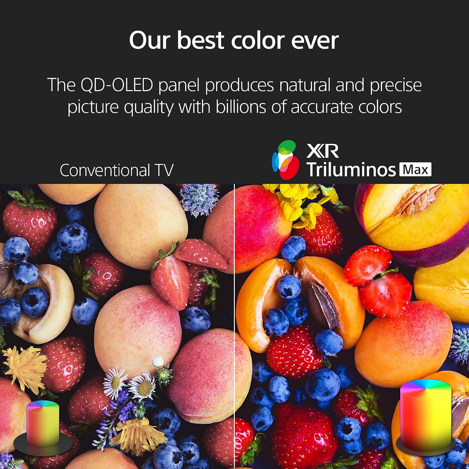 SONY K55XR80M2 55 Inch Bravia 8 QD-OLED 4K HDR Google TV with an AudioQuest Cinnamon 48 2.25M 8K-10K 48Gbps HDMI Digital Cable (2025)