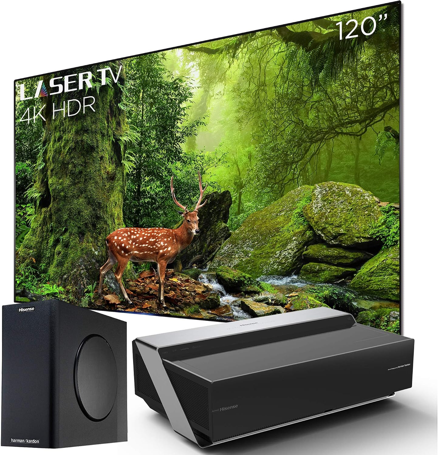 Hisense 120L10E 120-Inch 4K UHD Smart Laser Projector TV with Screen and 2.1 Audio System (2019) (Renewed)